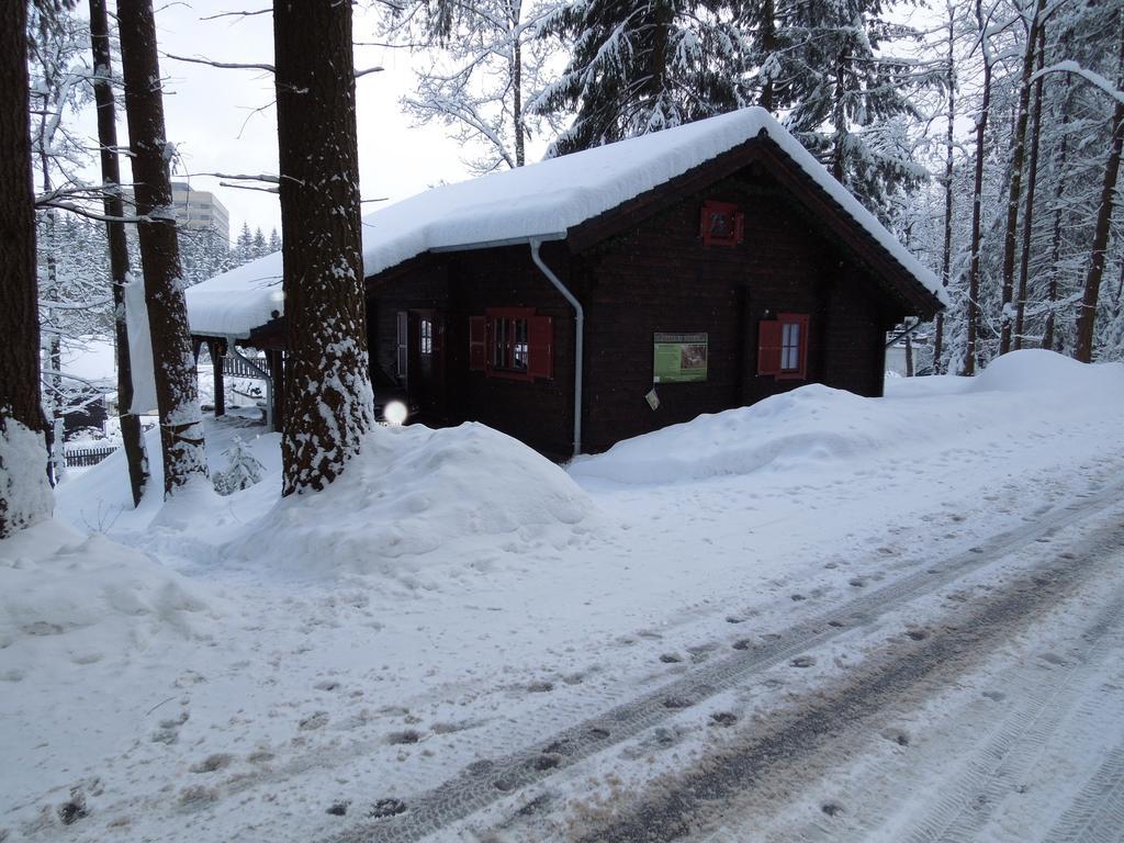 Blockhaus Bodefall ブラウンラーゲ 部屋 写真